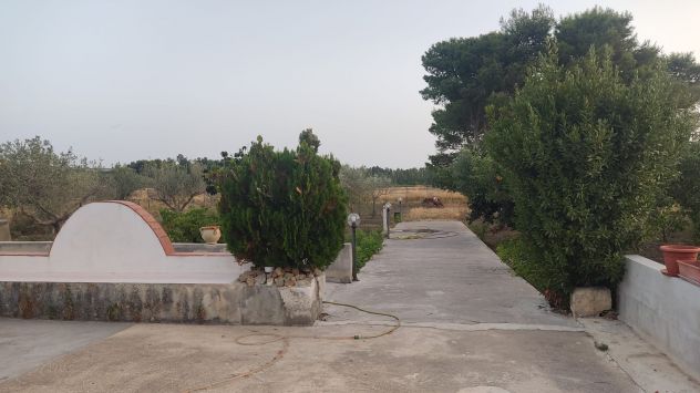 Vendesi terreno agricolo recintato con fabbricato in zona Dattilo (Trapani) - Foto 2