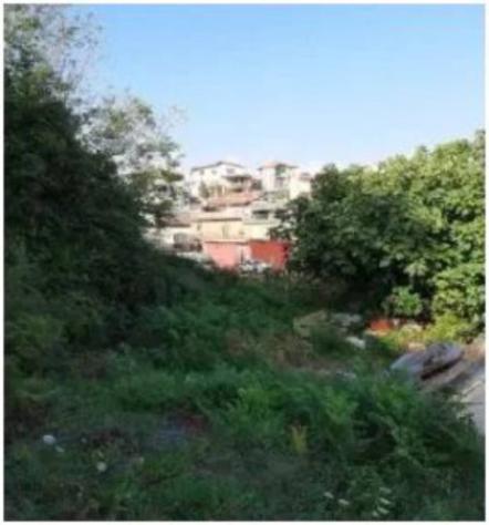 Immobile in asta di 899 m² in vendita a Rocca Priora - Foto 2