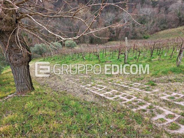 Terreno di 30943 mq in vendita a Vittorio Veneto - Rif. 4551740 - Foto 9