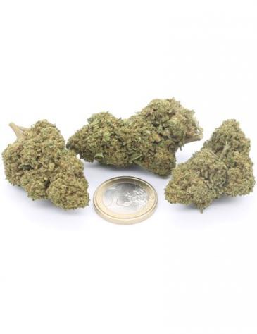 Blue Dream - Foto 3