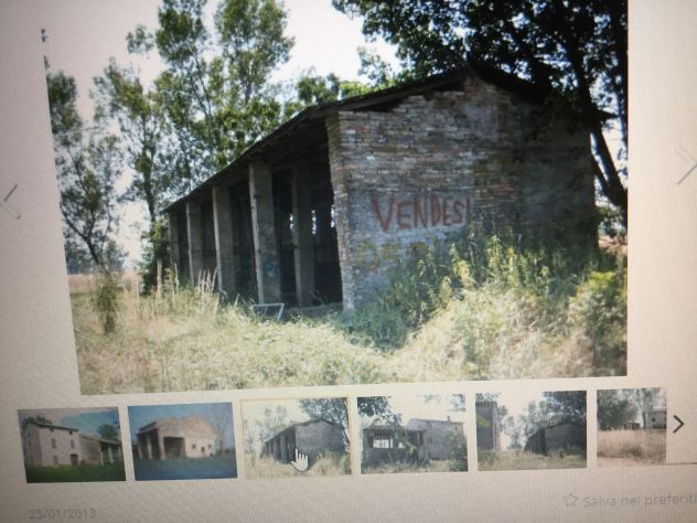 Vendo Rustico sito tra Soragna e Roncole Verdi ampio lotto di terreno edificabi - Foto 10