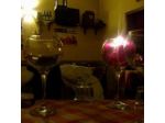 Ingenito Ristorazione S.r.l.