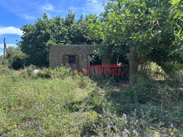 Terreno Agricolo - Rif. 2672 - Foto 7