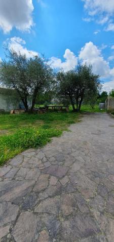 Terreno edif. residenziale in vendita a Marlia - Capannori 980 mq Rif: 1325632 - Foto 8