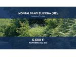 Immobile in asta di 2525 m² in vendita a Montalbano Elicona