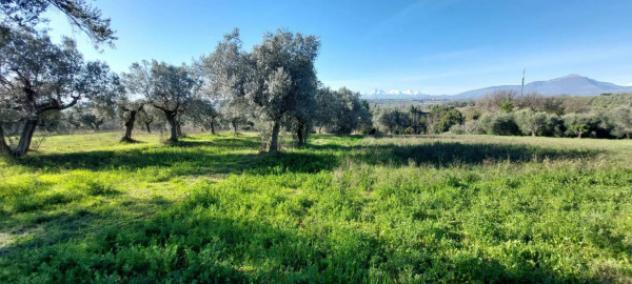 Immobile in asta di 6583 m² in vendita a Nereto - Foto 7