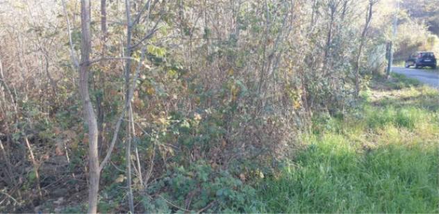 Immobile in asta di 1305 m² in vendita a Rubiana - Foto 4