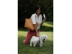 Dog Sitter service