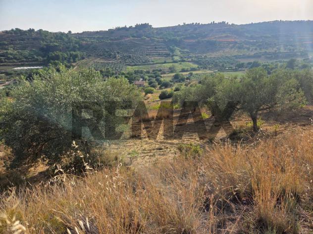 Terreno in vendita a Caltagirone - Foto 2