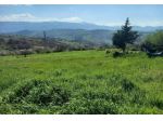 Immobile in asta di 4530 m² in vendita a Casalciprano