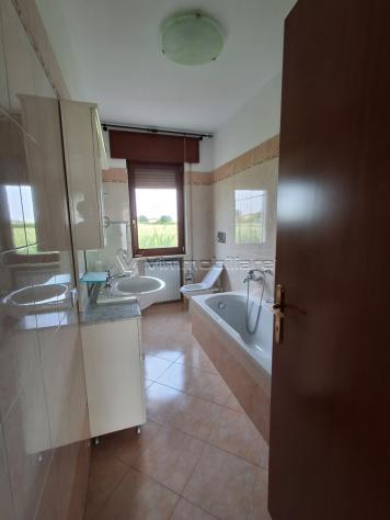 Bifamiliare in affitto a Orgiano - Foto 14