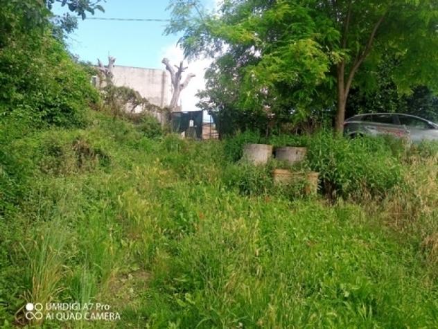 Uliveto in vendita a Lanciano - Foto 2