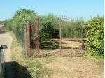 ALBANO. VIA CANCELLIERA. TERRENO AGRICOLO MQ 3450