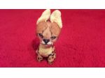 Peluche mini Iena
