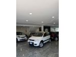 Fiat Panda 1.2 Climbing Natural Power