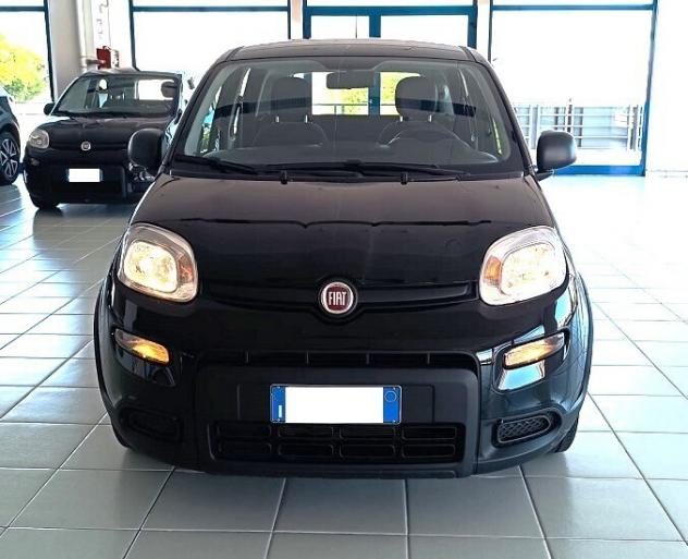 Fiat Panda 1.0 FireFly S&S Hybrid - Foto 2