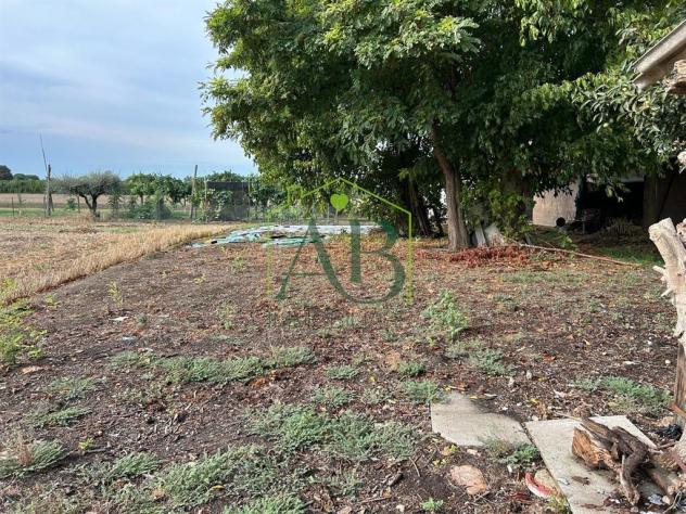 Casale con giardino - Foto 18