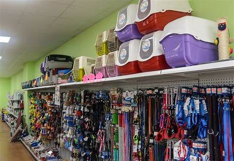 NEGOZIO ANIMALI ACCESSORI E TOLETTAURA AMBIENTE RAFFINATO CENTRO MILANO - Foto 3