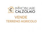 VENDITA TERRENO AGRICOLO GROTTAGLIE