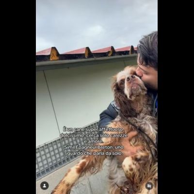 BRENDON tg medio piccola cane in adozione - Foto 3