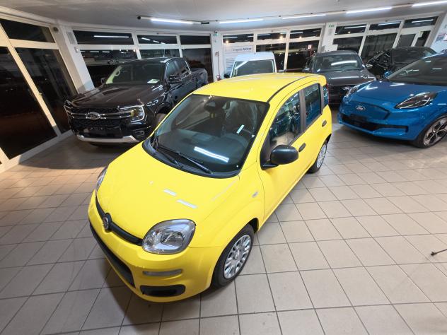 FIAT Panda 3ª serie 1.0 FireFly S&S Hybrid - Foto 10