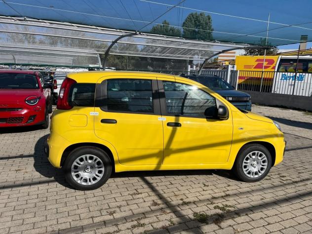 FIAT Pandina Pandina 1.0 firefly hybrid Icon s&s 65cv - Foto 5