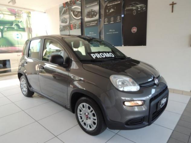 FIAT Panda 1.2 EasyPower rif. 24104042