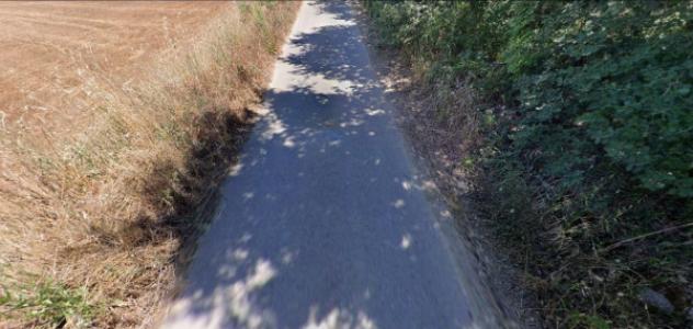 Immobile in asta di 41900 m² in vendita a Roggiano Gravina - Foto 3