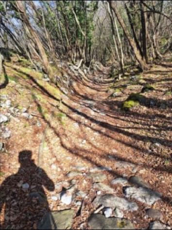Immobile in asta di 1709 m² in vendita a Rovereto - Foto 9