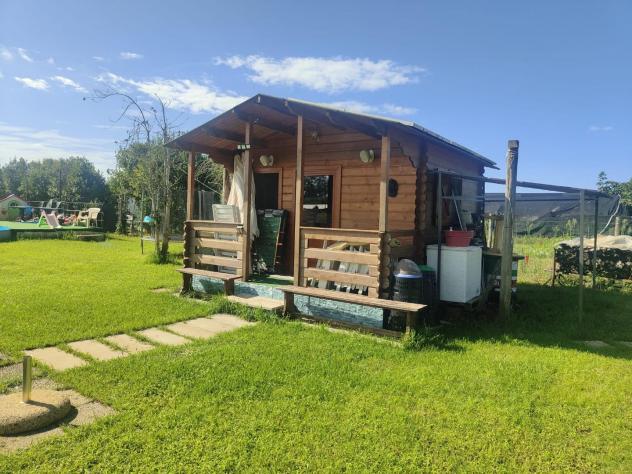 Terreno agricolo in vendita a Viareggio 1570 mq Rif: 1445031 - Foto 8