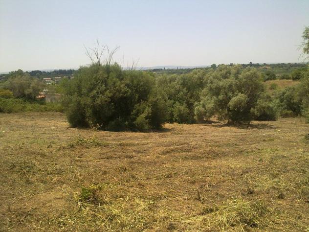 Seminativo in vendita a Siracusa - Foto 8