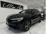 Alfa Romeo Stelvio 2.2 190 CV AT8 Q4 Super Busines