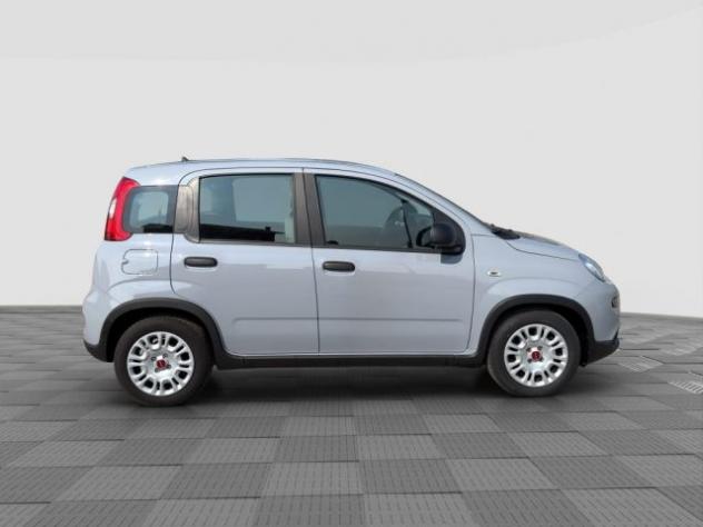 FIAT Panda Panda 1.0 FireFly Hybrid City Life rif. 24026722 - Foto 6