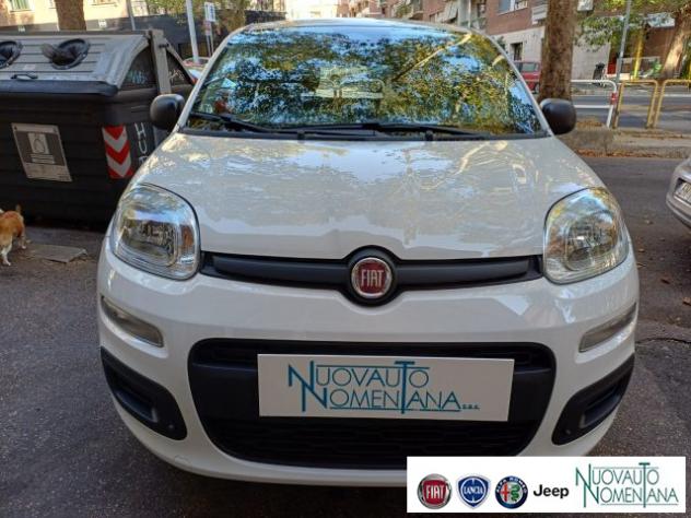 FIAT Panda Pandina 1.0 FireFly S&S Hybrid Icon Km0 rif. 24008358 - Foto 3