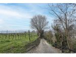 Terreno Residenziale - Chiuduno . Rif.: Cod. rif 3300081VRG