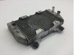 HONDA FORZA 250 RADIATORE 2005 2007