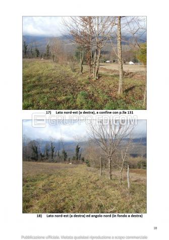 Terreno di 13290 mq in vendita a Aviano - Rif. 4551424 - Foto 10