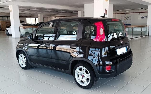 Fiat Panda 1.0 FireFly S&S Hybrid - Foto 4