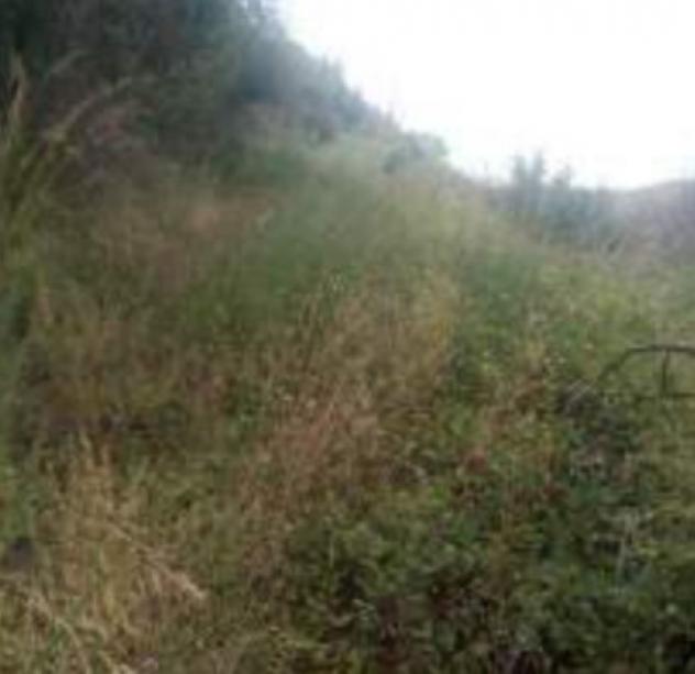 Immobile in asta di 21130 m² in vendita a Torano Castello - Foto 11