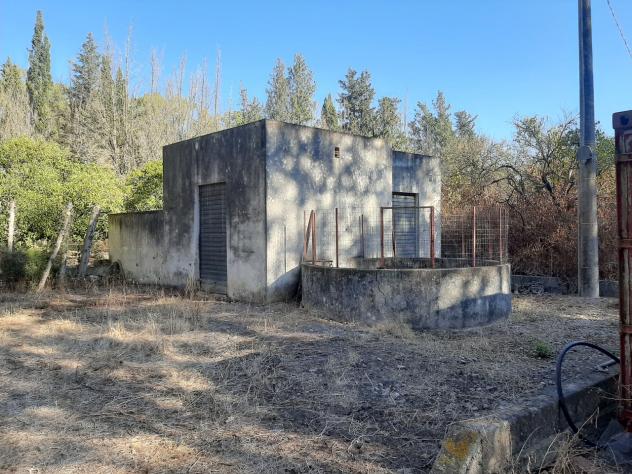 Agricolo in vendita a Monastir - Foto 4