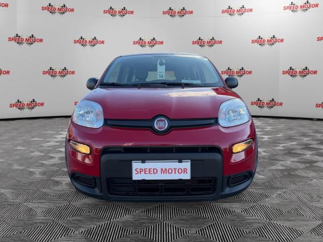 FIAT Panda Panda 1.0 firefly hybrid 70cv 5 POSTI, PRONTA CONSEGNA! - Foto 2