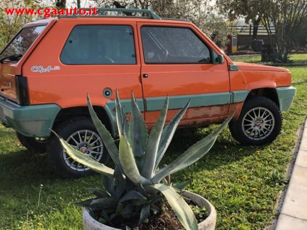 FIAT Panda 4 x 4 leggi 4 ruote, ruoteclassiche cgamotors.it rif. 14504944