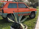 FIAT Panda 4 x 4 leggi 4 ruote, ruoteclassiche cgamotors.it rif. 14504944