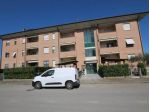 Appartamento in vendita a Siena 58 mq  Rif: 1418640