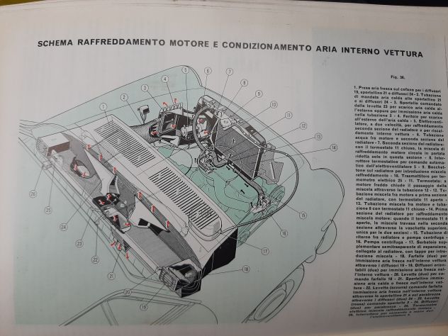 AUTOBIANCHI PRIMULA  ORIGINALE - Foto 6