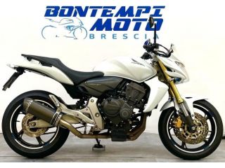 Honda Hornet null
