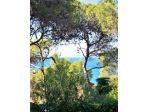 Castiglioncello in pineta alta  vista mare