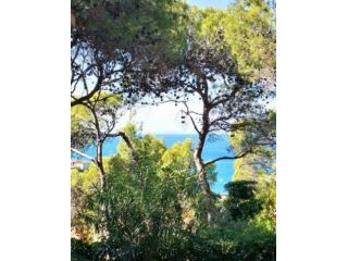 Castiglioncello in pineta alta  vista mare