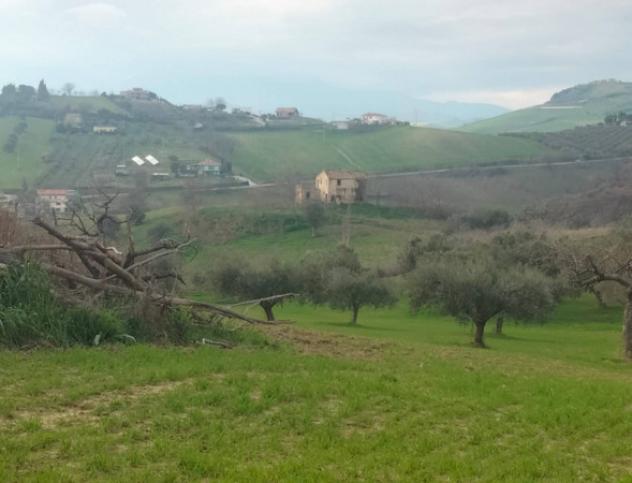 Immobile in asta di 19020 m² in vendita a Bellante - Foto 10