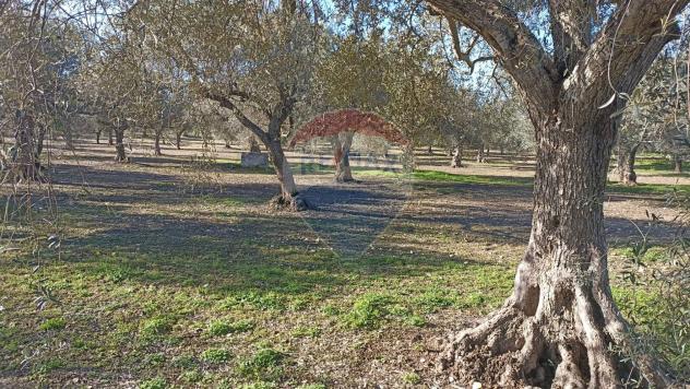 Rustico in vendita a Chiaramonte Gulfi - Foto 12